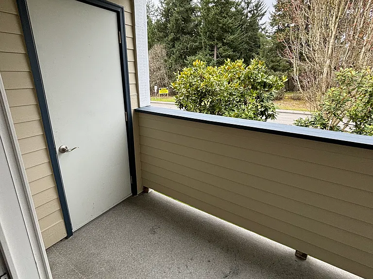 Nisqually Ridge — Photo 58