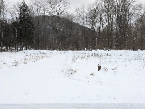 72 Ccc Rd #1, Mount Jewett, PA 16740