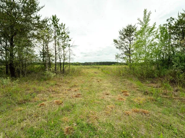 5 acres Brown Deer Drive #2, Arkdale, WI 54613