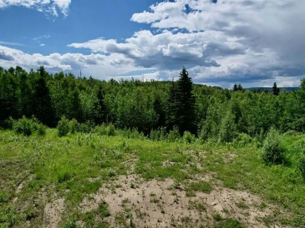 19 Mountain Spgs, Woodlands County, AB T7S 1N3