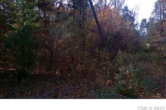2nd image of 2040 Back Creek Church Rd