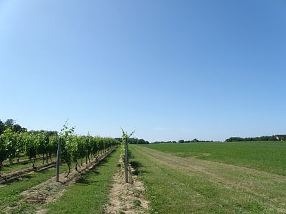 2nd image of 24385 Main Rd