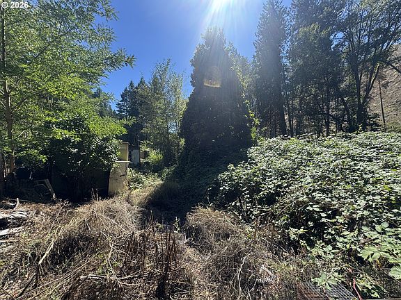 4th image of 718 Lees Creek Rd