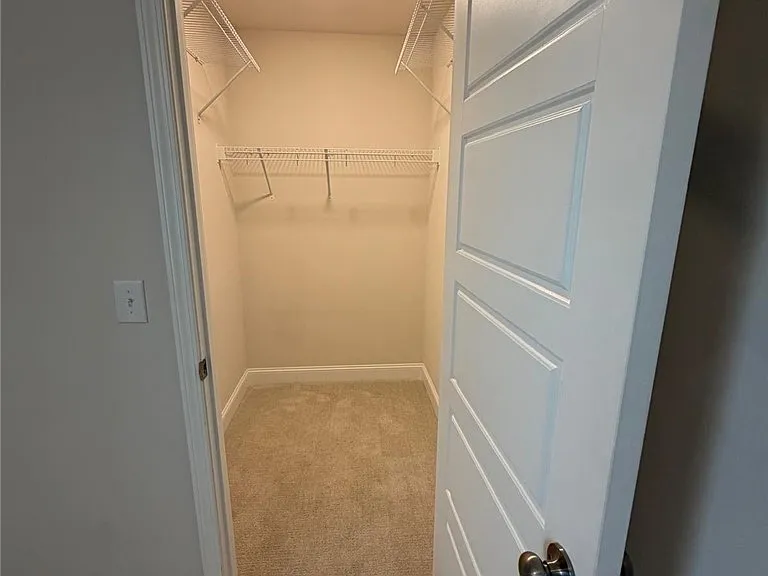 168 Placid Pond Dr — Photo 21