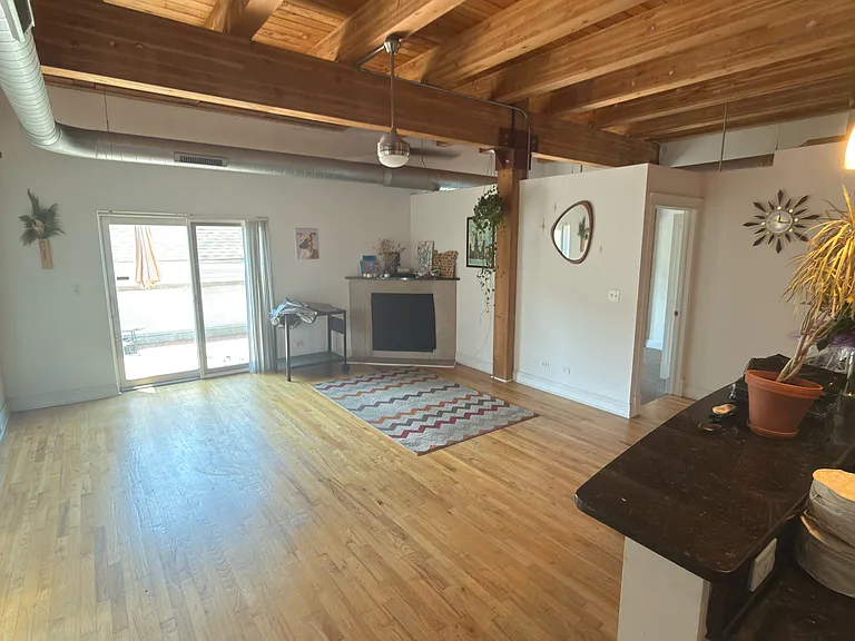500 N Damen Ave #205 — Photo 2