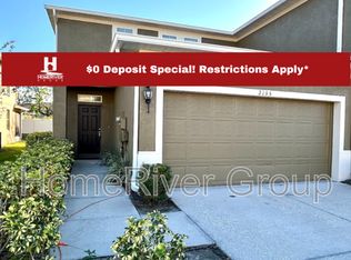 2135 Broadway View Ave, Brandon, FL 33510