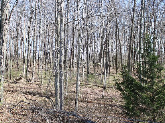 4th image of 1480 Poindexter Rd