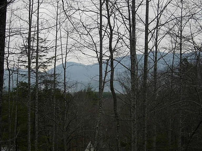 20 Rocky Creek Trl — Photo 23