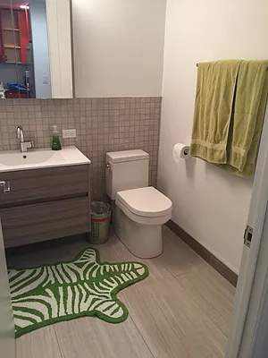 Rented by Nest Seekers International | media 33