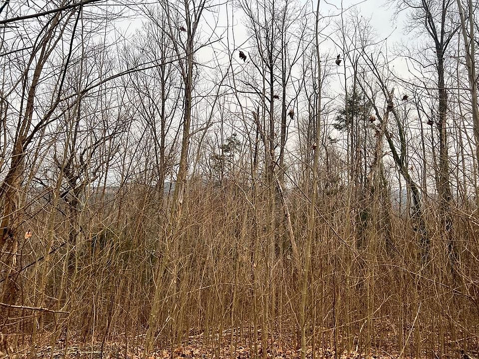 1st image of 100 Cliff Branch Rd Lot 100