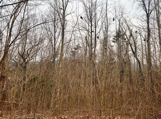 100 Cliff Branch Rd LOT 100, Gatlinburg, TN 37738