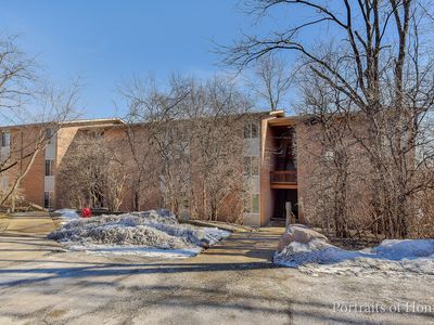 5803 Oakwood Dr APT F, Lisle, IL, 60532