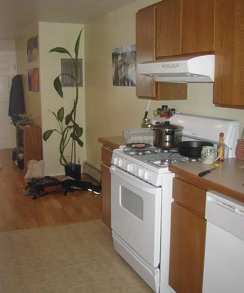1513 Kinnikinnick St #3 — Photo 4
