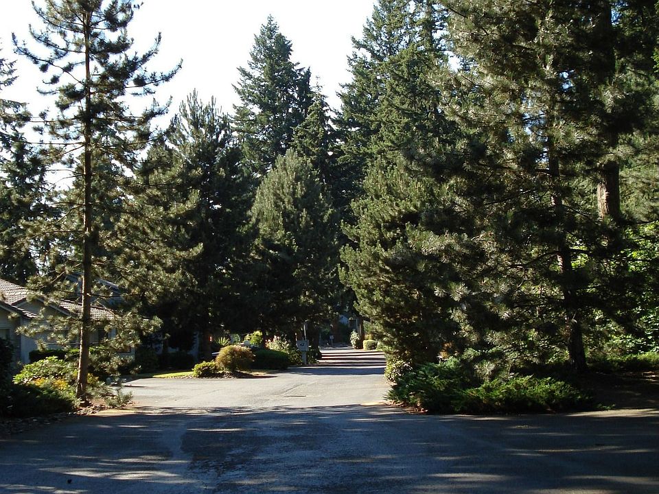 A QUIET LANE BETWEEN THE CONDOS