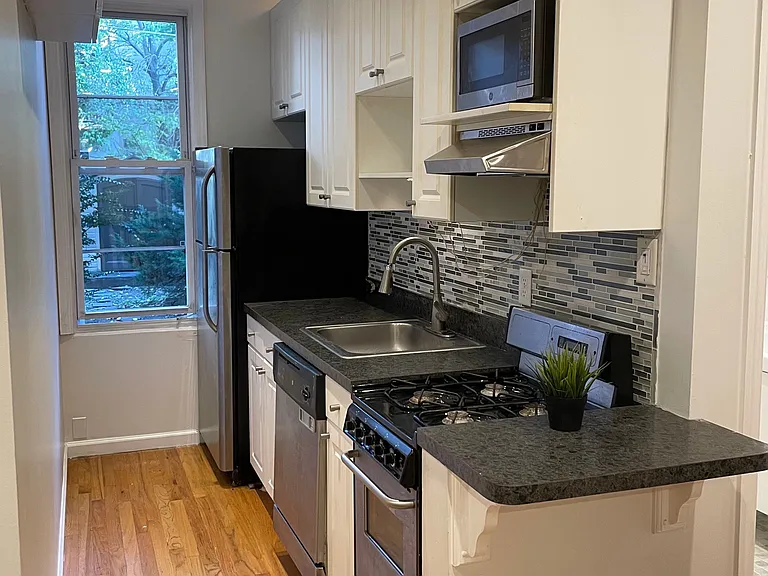 209 Clinton St #1 — Photo 11