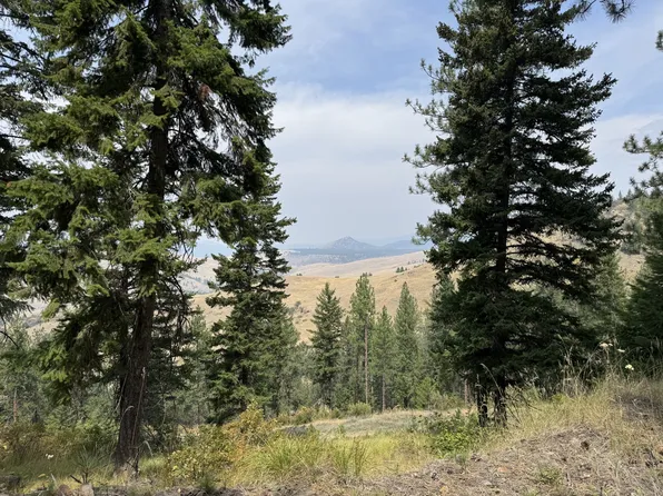 LOT 4 Yosyrian Ln, Plains, MT 59859