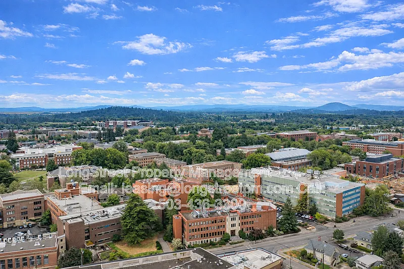 1 bed, 1.0 bath, 600 sqft, $1,349 — Photo 4