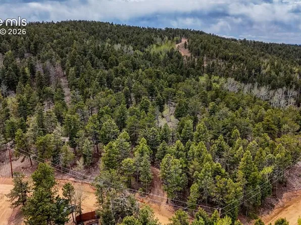 259 Potlatch Trl, Woodland Park, CO 80863
