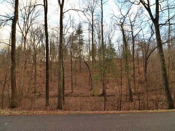 Grave Hill Rd, Oneida, TN 37841