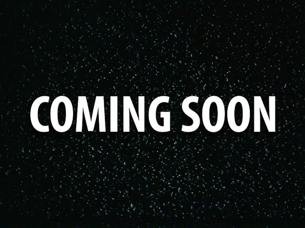 1615 N Magnolia Dr, Cario, GA 39828