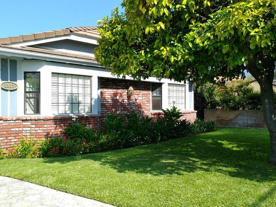 Front of house with grape fruit tree