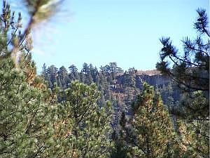 2nd image of 630 Poncho Rd