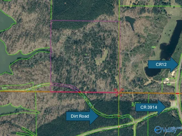40AC County Road 3914, Arley, AL 35541