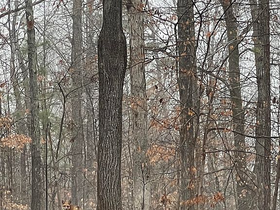 81st image of this home