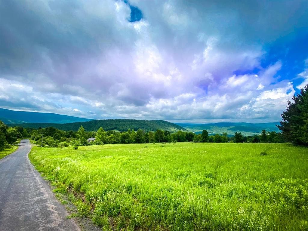 365 Hog Mountain Rd, Fleischmanns, NY 12430 Zillow