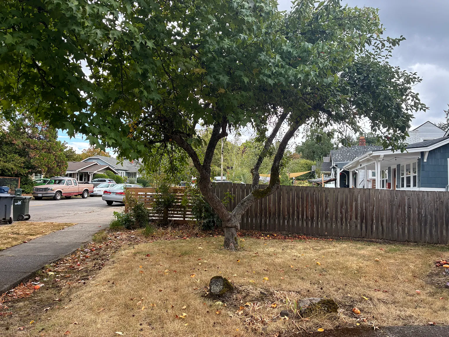 Charming 3 Bedroom Home in Central Eugene | Flexible Layout + Landscaping Included — Photo 3