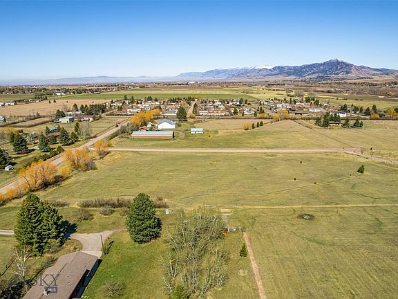 5th image of Golden Buffalo Rd