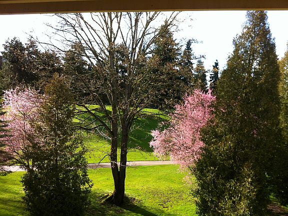 View from Living Room
