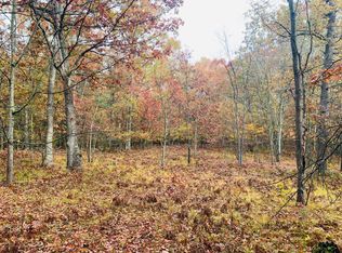 S 186th Ave, Hesperia, MI 49421