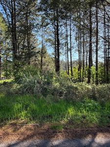 112 Seafoam Rd, Whitethorn, CA, 95589