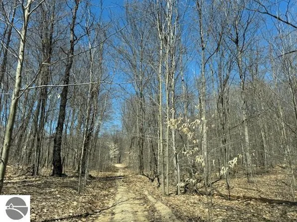 V/l 0 N Turnerville Rd, Lake City, MI 49651