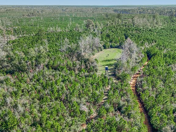 3rd image of Hampton Rd