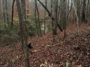 541 Hamp Chappell Rd #4, Carrollton, GA 30116