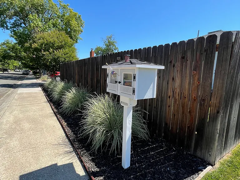 Side front yard with free little library