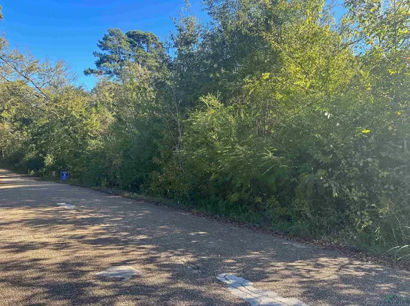 N Jefferson St, Lone Star, TX 75668