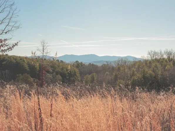 0 Curtis Rd Lot 1, Tellico Plains, TN 37385