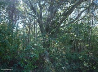 58 Buckfield Rd, Yemassee, SC 29945