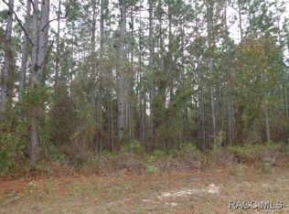 37 Fringetree St, Homosassa, FL 34446