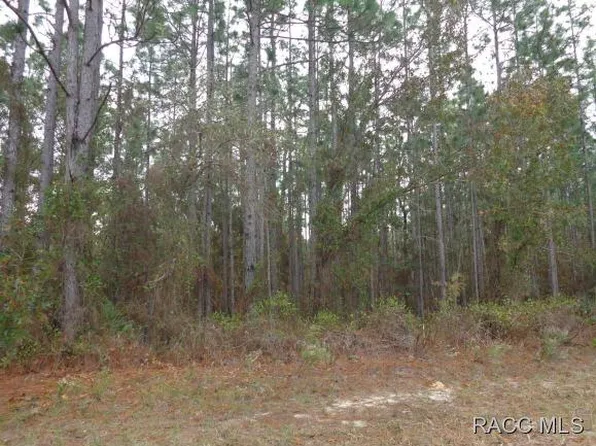 37 Fringetree St, Homosassa, FL 34446