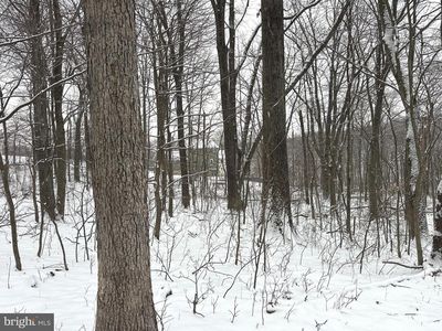 LOT 68 Killbuck Trl, Winchester, VA, 22602