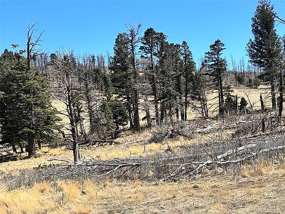 3rd image of 00 Forbes Park Rd.