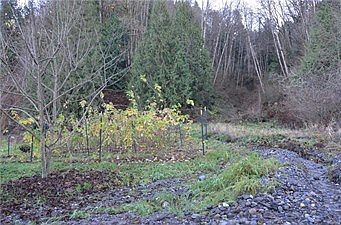 5th image of 26710 S Skagit Hwy