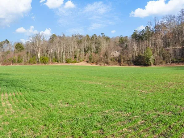 8.03 E New Hope Rd, Ellijay, GA 30536