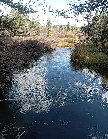 1532 Snowmass Creek Rd — Photo 25
