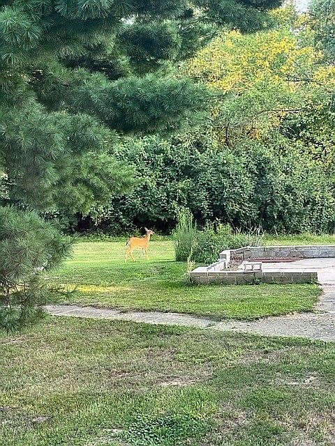 2nd image of 2767 Terpening Rd