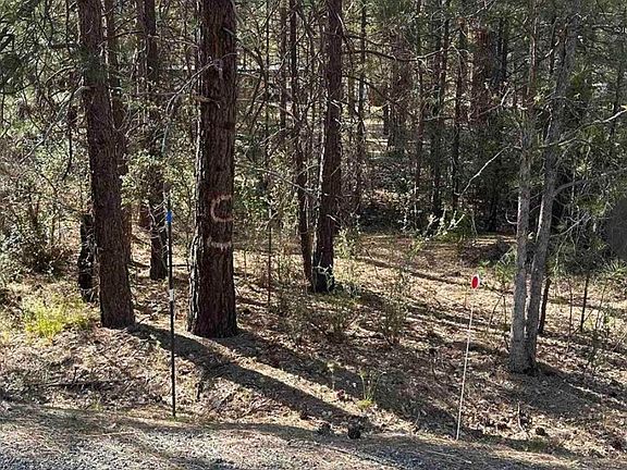 3rd image of 5711 Scott River Rd